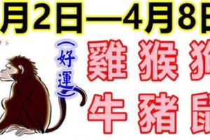 十二生肖每週運勢播報（4月2日—4月8日）