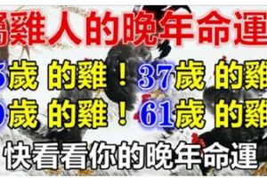 25歲，37歲，49歲，61歲的屬雞人的晚年命運！