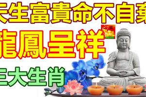 天生富貴命不自棄龍鳳呈祥的三大生肖！