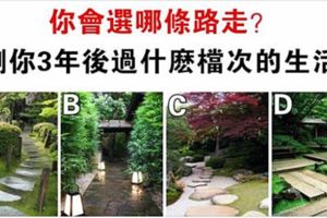 心理測試：你會選哪條路走？測你未來3年會過什麼樣的生活！