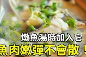 燉魚湯時加入它，魚肉嫩彈不會散！營養加倍