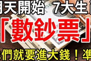 明天開始，這7大生肖就等著「賺大錢」，開始「進鈔票」