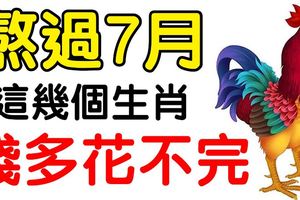 熬過7月，這幾個生肖，錢多得花不完！