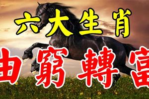 8月份，這六大生肖一飛沖天，能夠由窮轉富！