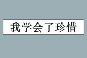 2018年檳城UPSR預試華文試卷《我學會了珍惜》範文