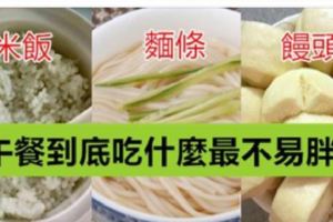 米飯、饅頭、麵條，午餐到底吃什麼最不易胖？減肥、易胖的趕緊來看啦~~