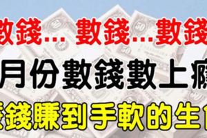 9月份數錢數上癮，賺錢賺到手軟的6大生肖，有你嗎？