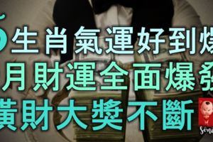 5生肖氣運好到爆了，9月財運全面爆發，橫財大獎不斷，註定要發達！