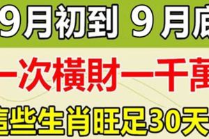 一次橫財一千萬！這些生肖9月初到9月底，橫財不斷！旺足30天！