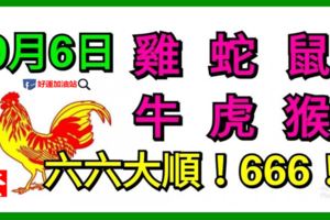 9月6日生肖運勢_雞、蛇、鼠大吉