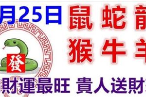 9月25日生肖運勢_鼠、蛇、龍大吉