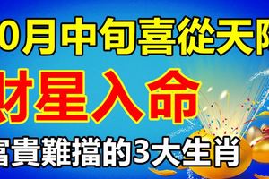 10月中旬喜從天降，財星入命，富貴難擋的3大生肖