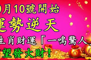 10月10號開始，運勢逆天，3生肖財運「一鳴驚人」，有望發大財！