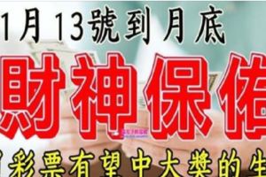 11月13號到月底，這幾大生肖財神保佑，買彩票有望中大獎