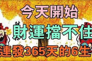 從今天開始，這六大生肖財運擋不住，財源滾滾連發365天