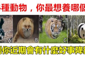 心理測試：4種動物，你最想養哪個，測你近期會有什麼好事降臨