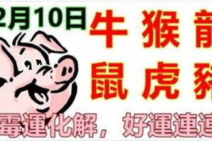 12月10日生肖運勢_牛、猴、龍大吉