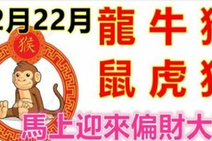 12月22日生肖運勢_龍、牛、猴大吉