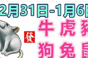 12生肖一周運勢（12月31日—1月6日）