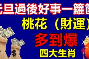 元旦過後好事一籮筐，桃花（財運）多到爆的四大生肖