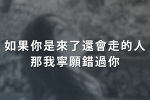 如果你是來了還會走的人那我寧願錯過你