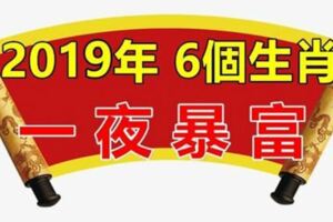 6大生肖2019年如魚得水賺大錢