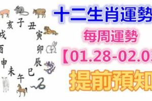 十二生肖運勢：每周運勢【01.28-02.03】提前預知！