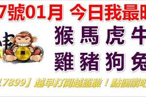 27號01月，今日我最旺！猴馬虎牛雞豬狗兔！【17899】越早打開越靈驗！點個讚吧！