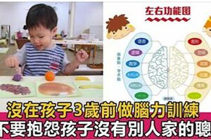 3歲前給寶寶做這19項腦力訓練，3歲後智商遠超同齡人