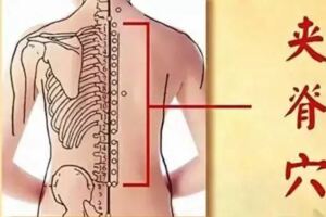把身上的這個部位提幾下，頸椎、腰、背都不疼了！還能防病~