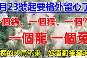 3月23號開始要格外留心了，一個雞，一個猴，一個龍，一個？。一個兔，家裡有的不得了了