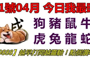 01號04月，今日我最旺！狗豬鼠牛虎兔龍蛇！【99888】越早打開越靈驗！點個讚吧！