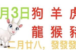 4月3日生肖運勢_狗、羊、虎大吉