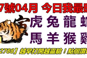 17號04月，今日我最旺！虎兔龍蛇馬羊猴雞！【92788】越早打開越靈驗！點個讚吧！