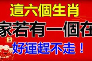 這六個生肖家若有一個，好運趕不走，坐著等數錢吧！