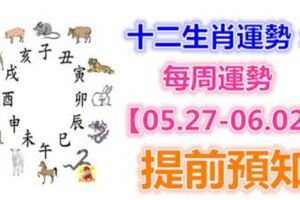 十二生肖運勢：每周運勢【05.27-06.02】提前預知！