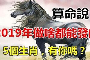 算命先生說：2019年做啥都能賺錢的五個生肖，有你嗎