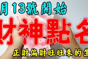 6月13號開始財神點名，正財偏財旺旺來的生肖