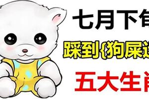 七月下旬，踩了狗屎運的5大生肖