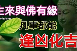 這幾大生肖生來與佛有緣，凡事都能逢凶化吉