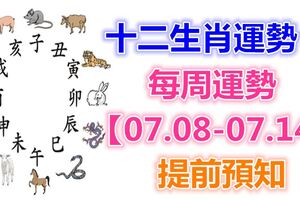 十二生肖運勢：每周運勢【07.08-07.14】提前預知！