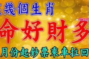 這幾個生肖命好，財多，八月份開始鈔票乘車拉回家