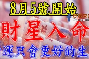 8月5號開始，財運只會「更好」的生肖