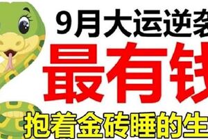 9月鹹魚大翻身，財運蒸蒸日上，抱著金磚睡大覺的生肖