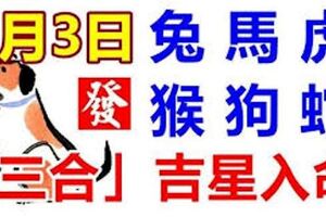 9月3日生肖運勢_兔、馬、虎大吉