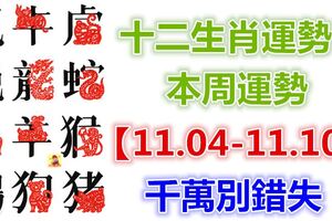 十二生肖運勢：本周運勢【11.04-11.10】千萬別錯失！