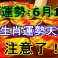 注意了！十二生肖運勢天天看！今日運勢：6月15日