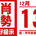 生肖運勢，天天好提示（12月13日）