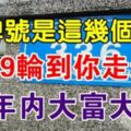 門牌號是這幾個數字，說明2019年輪到你走運了，10年內大富大貴！