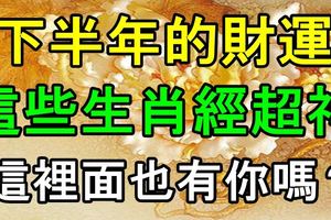 這些生肖下半年的財運已經超神，這裡面也有你嗎？